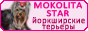 Mokolita Star: корм для Йоркширского терьера. Подробности на сайте